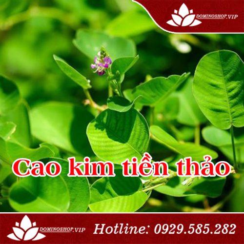 Cao kim tiền thảo, cao dược liệu cho người bị sỏi thận