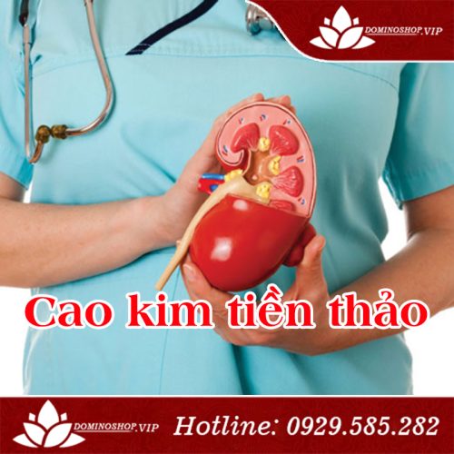Cao kim tiền thảo, cao dược liệu cho người bị sỏi thận