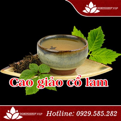 Cao giảo cổ lam, khắc tinh của bệnh ung thư, tiểu đường và mỡ máu