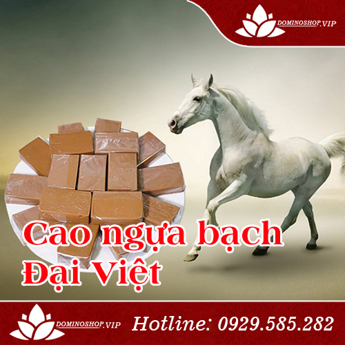 Cao ngựa bạch Đại Việt