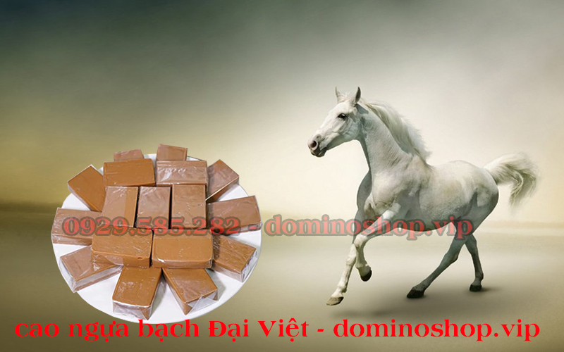 Cao ngựa bạch Đại Việt