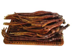 Nấm linh chi sừng hươu