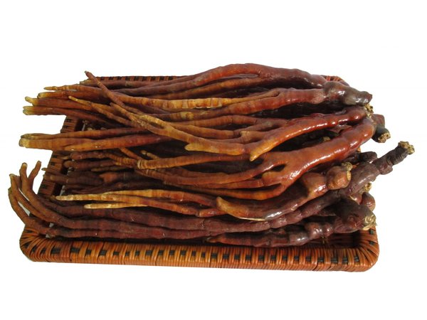 Nấm linh chi sừng hươu