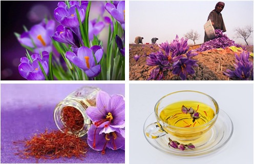Những lưu ý không được bỏ qua khi sử dụng nhụy hoa nghệ tây