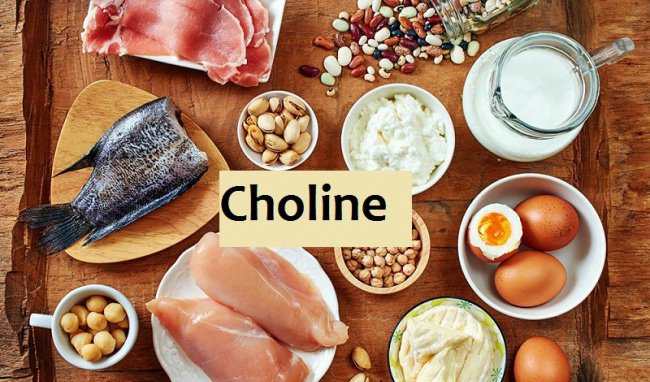 choline là gì