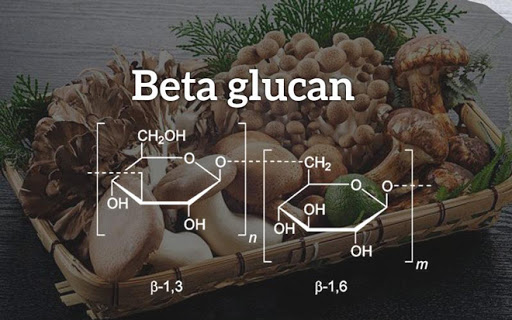β-glucan