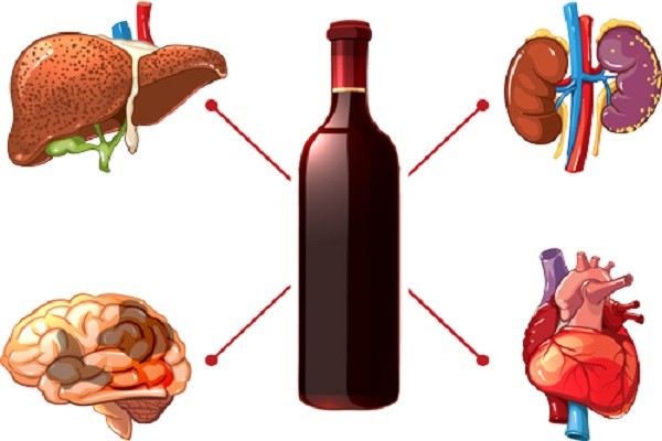 Cơ thể bạn chuyển hóa rượu như thế nào?
