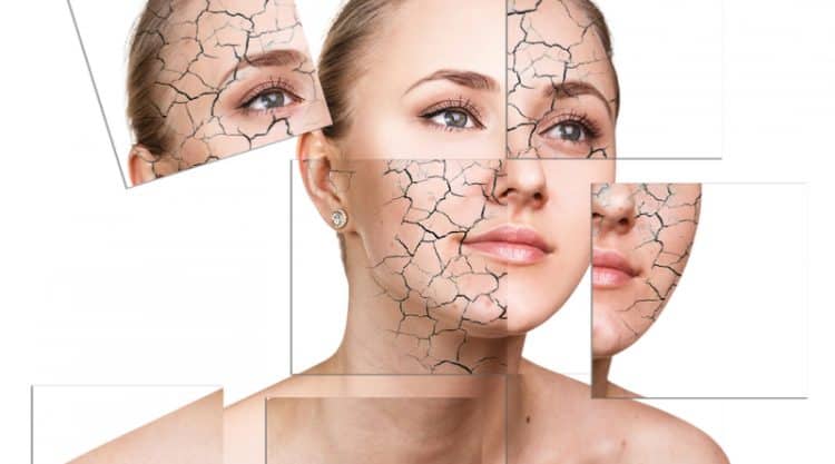 Tác dụng của sữa ong chúa giúp ngăn ngừa lão hóa