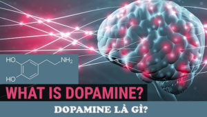 dopamine là “hormone hạnh phúc”