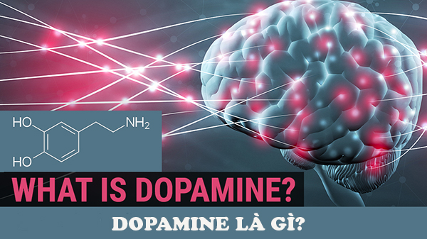 dopamine là “hormone hạnh phúc”