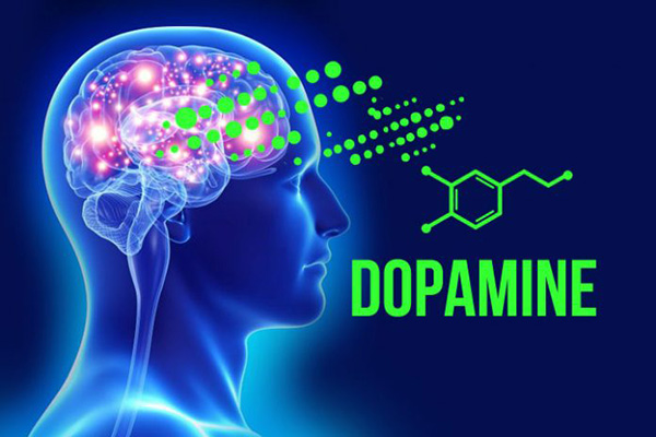 dopamine là “hormone hạnh phúc”