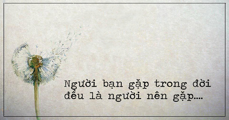 những người bạn gặp trong đời đều là người nên gặp