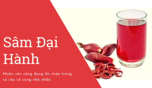 Sâm đại hành - Thuốc bổ huyết, trợ tiêu hóa