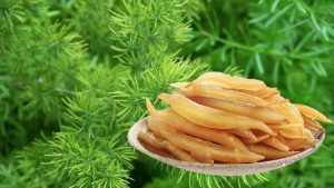 Những bài thuốc trị bệnh từ cây cảnh thiên môn đông