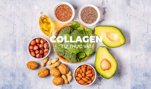 5 nguồn collagen thực vật giúp trẻ hóa da mà chị em không biết