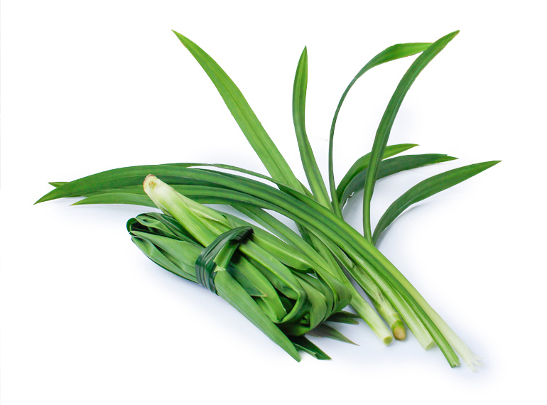 Lá dứa - thần dược của sức khỏe và sắc đẹp mà nhiều người chưa biết hết công dụng