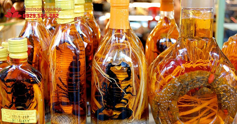 Những kiến thức cơ bản khi ngâm và dùng rượu thuốc