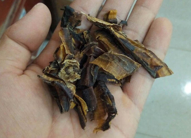 Địa long, vị thuốc trấn kinh, thông mạch được biết đến từ 2000 năm trước