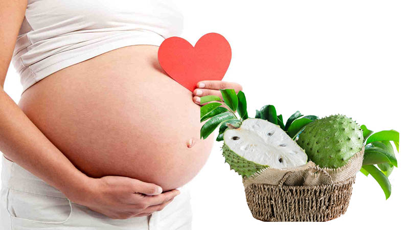 Tránh xa các chất bổ sung mãng cầu xiêm khi đang mang thai