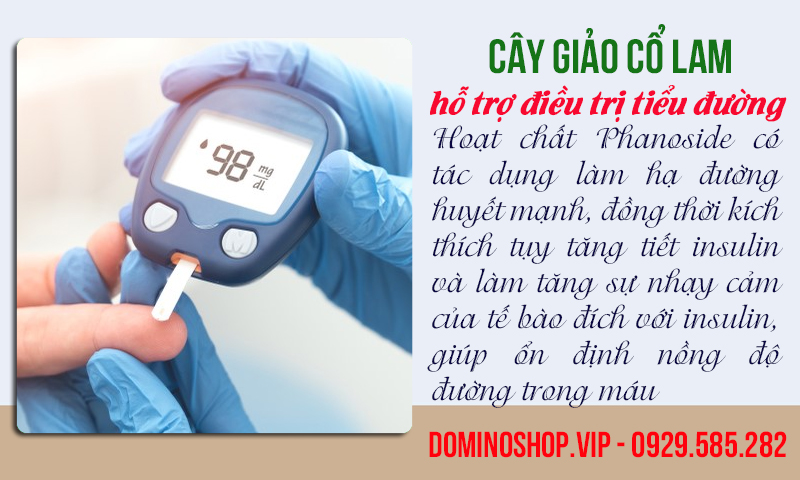 Giảo cổ lam có tác dụng hỗ trợ điều trị bệnh tiểu đường