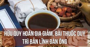 Bài thuốc Hữu quy hoàn (You Gui Wan – 右归丸 – Yougui Pill)