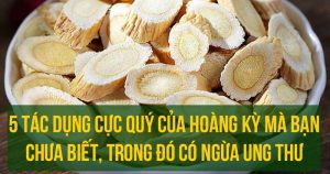5 tác dụng cực quý của Hoàng Kỳ, trong đó có ngừa ung thư