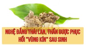 Nghệ đắng Thái Lan, thần dược phục hồi "vùng kín" sau sinh