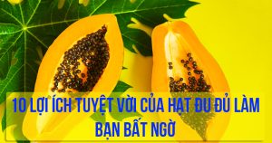 10 lợi ích tuyệt vời của hạt đu đủ làm bạn bất ngờ