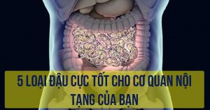 5 loại đậu cực tốt cho cơ quan nội tạng của bạn