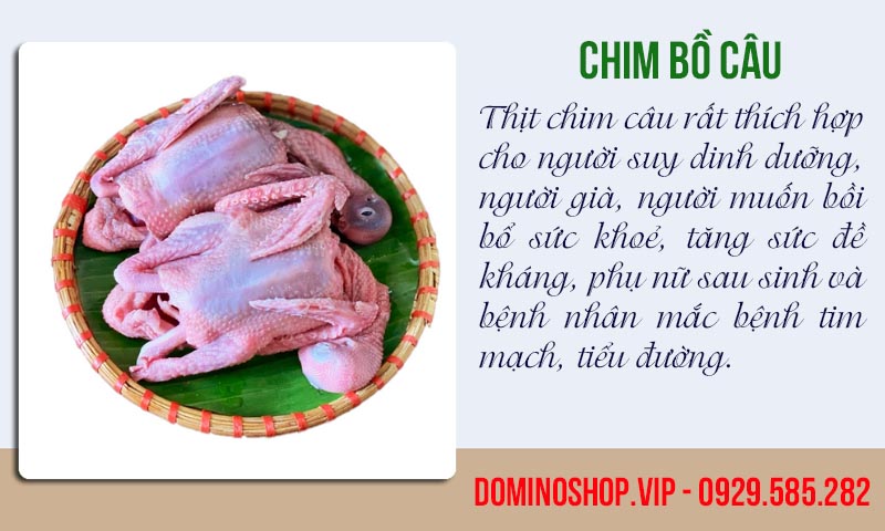 Thịt chim câu rất giàu sắt giúp nâng cao chức năng tạo máu của cơ thể, phòng ngừa và cải thiện hiệu quả thiếu máu do thiếu sắt.