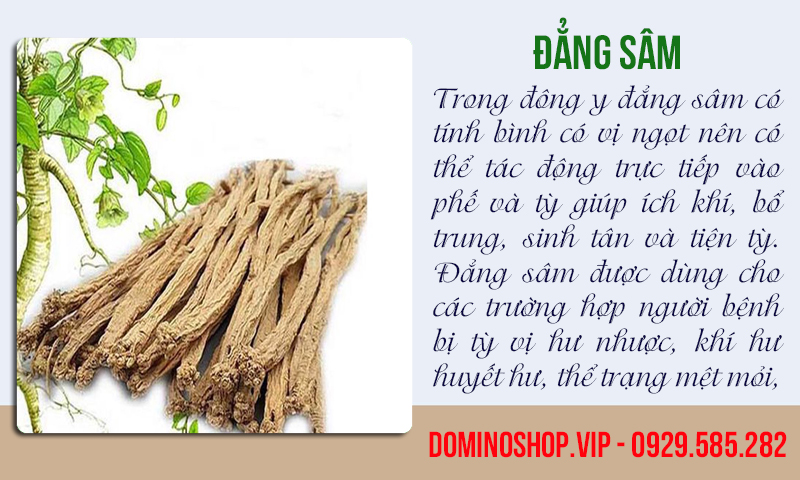 Nguồn gốc tên gọi Đảng sâm là do vị thuốc giống như sâm, sản xuất ở một địa phương gọi là quận Thượng Đảng (Trung Quốc).