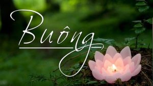 Cổ nhân dạy: Người dại ngoan cố, kẻ trí biết buông