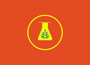 cao dược liệu, sao thảo dược dominoshop, 0929585282