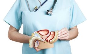 Bài thuốc Đông y giúp trị u xơ tuyến tiền liệt hiệu quả