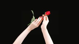 xem chỉ tay, hướng dẫn xem chỉ tay, tự xem chỉ tay, xem chỉ tay cho người mới bắt đầu