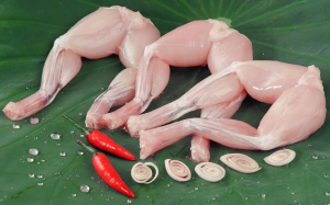 Thịt cóc giàu dinh dưỡng tại sao bác sĩ vẫn cảnh báo ngộ độc