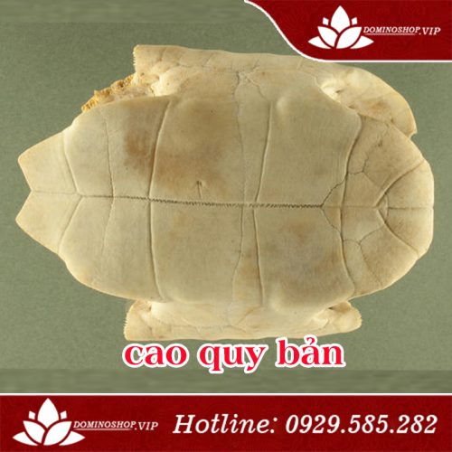 Cao quy bản là gì, cao quy bản chữa bệnh gì, cao quy bản có tốt không, mua cao quy bản ở đâu, cao quy bản giá bao nhiêu, giá cao quy bản, cách nấu cao quy bản, cách dùng cao quy bản