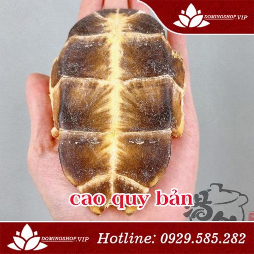 Cao quy bản là gì, cao quy bản chữa bệnh gì, cao quy bản có tốt không, mua cao quy bản ở đâu, cao quy bản giá bao nhiêu, giá cao quy bản, cách nấu cao quy bản, cách dùng cao quy bản