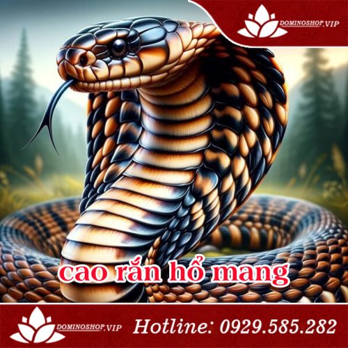 Cao rắn hổ mang, Cao rắn hổ mang nguyên chất, Cao rắn hổ mang chữa xương khớp, Cao rắn hổ mang có tốt không, mua Cao rắn hổ mang ở đâu, Cao rắn hổ mang là gì, chữa đau xương khớp bằng Cao rắn hổ mang, Cao rắn hổ mang đại việt, Viên khớp Bách Xà