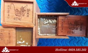 5 điều cần chú ý khi sử dụng cao hổ cốt