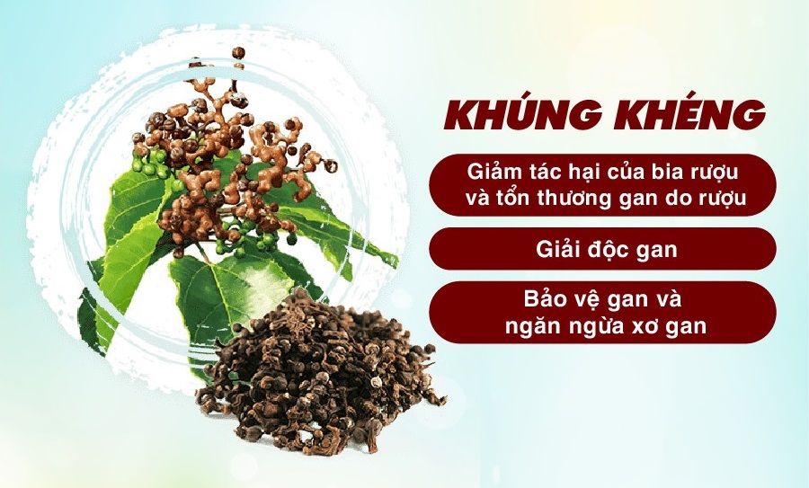 Bị bệnh gan chữa mãi không khỏi hãy dùng Khúng Khéng