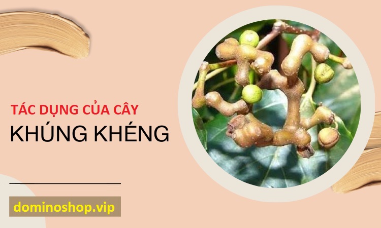 Bị bệnh gan chữa mãi không khỏi hãy dùng Khúng Khéng