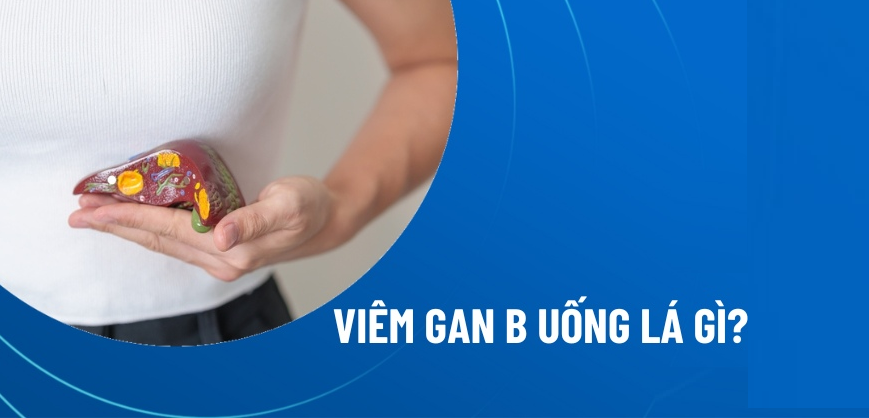 Y học cổ truyền có chữa được viêm gan không?