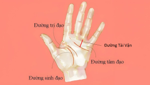 8 đường chỉ tay giàu sang ít người có