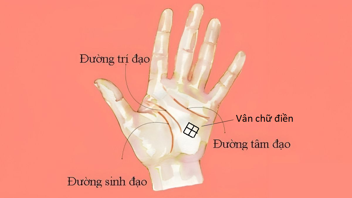 8 đường chỉ tay giàu sang ít người có
