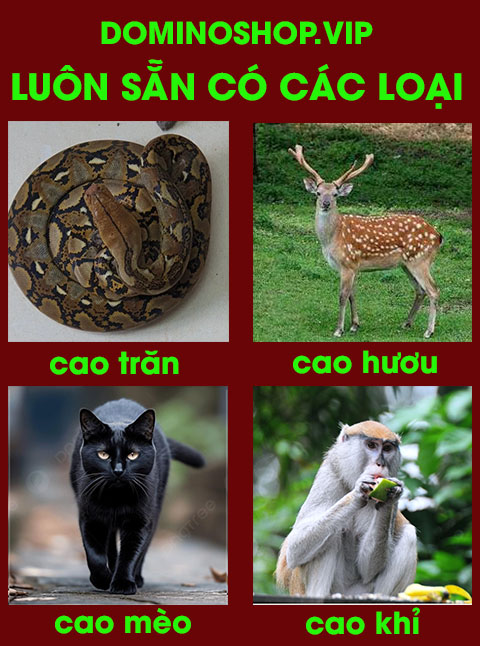 cao khỉ, cao trăn, cao mèo, cao mèo đen, cao nhung hươu, cao xương hươu,
