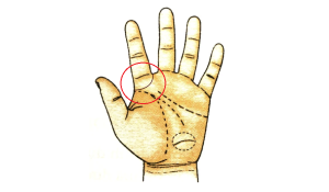 Vòng Mộc tinh có thật sự đem lại sự giàu có?