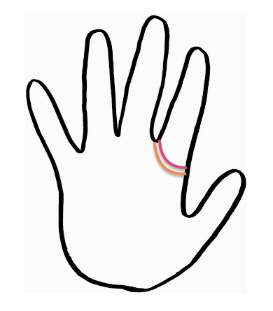 Người có Hai vòng Mộc tinh (double Jupiter Ring) là người có Khả năng tâm linh hoặc trực giác cực mạnh, như “cảm nhận” được người khác đang nghĩ gì