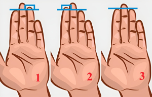 Xem chỉ tay: độ dài các ngón tay cho bạn biết điều gì?