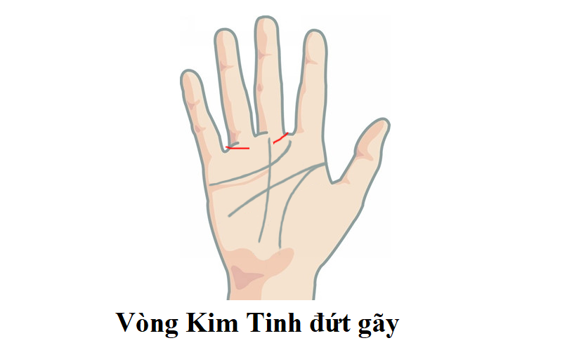 Những người có Vành đai Sao Kim bị vỡ ở giữa thường đa cảm và đa tình.